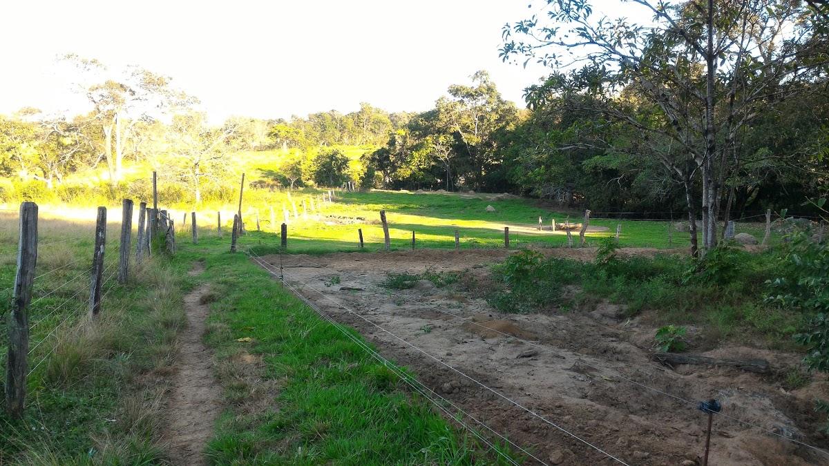Registro de marca em Mairipotaba, Goiás