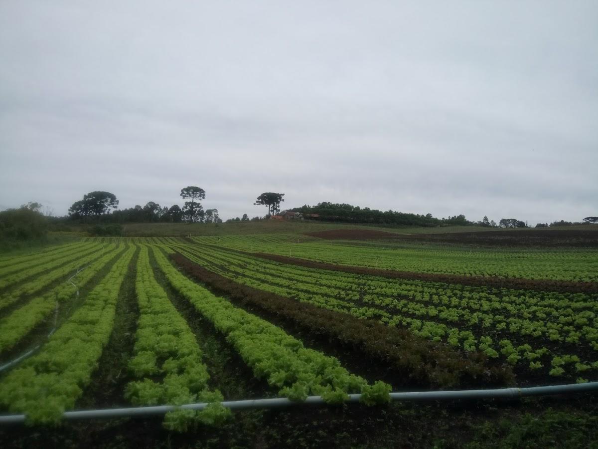 Registro de marca em Mandirituba, Paraná