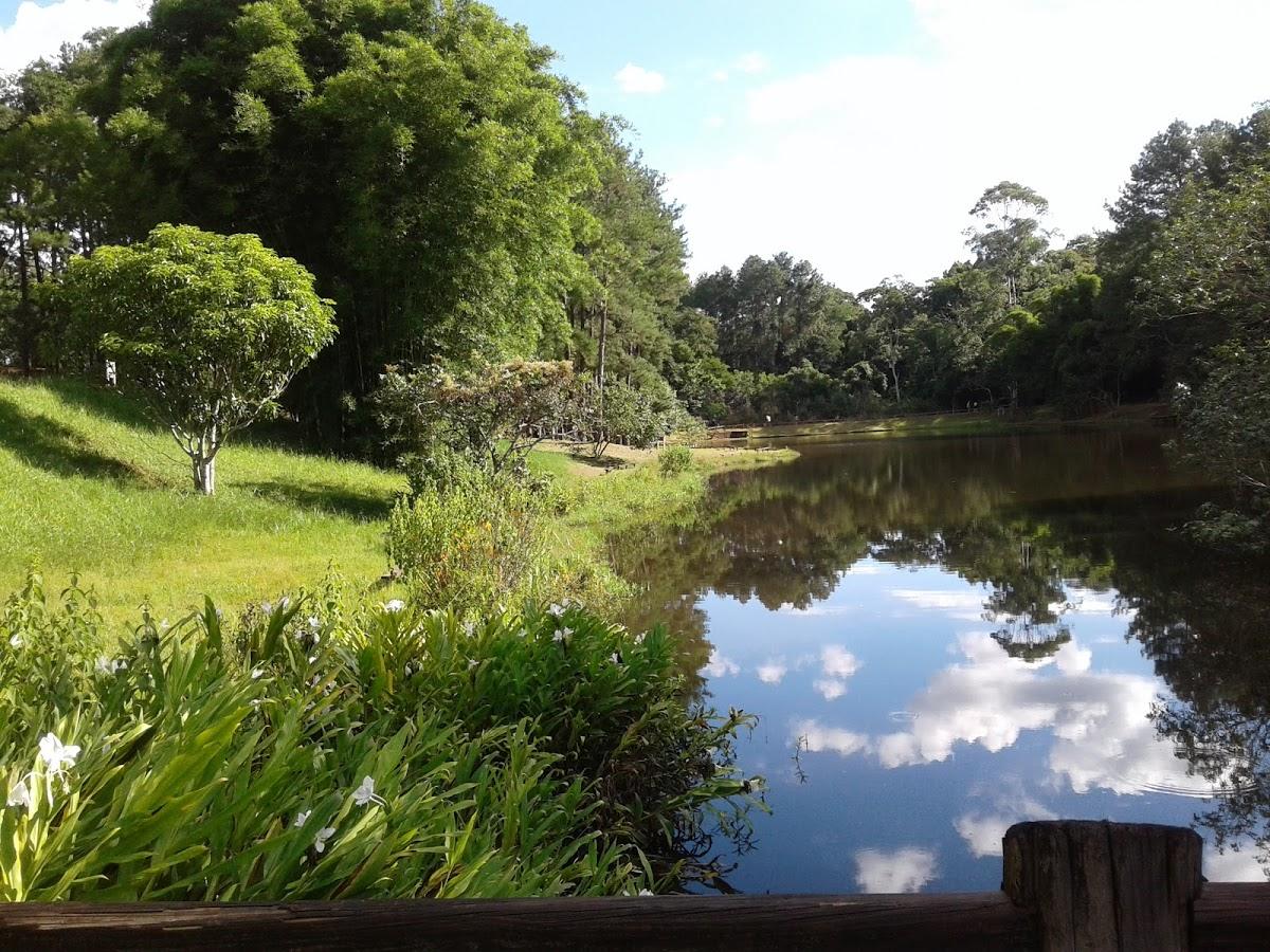 Registro de marca em Manduri, São Paulo