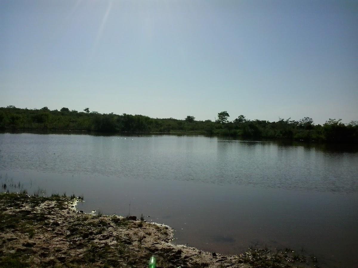 Registro de marca em Mansidão, Bahia