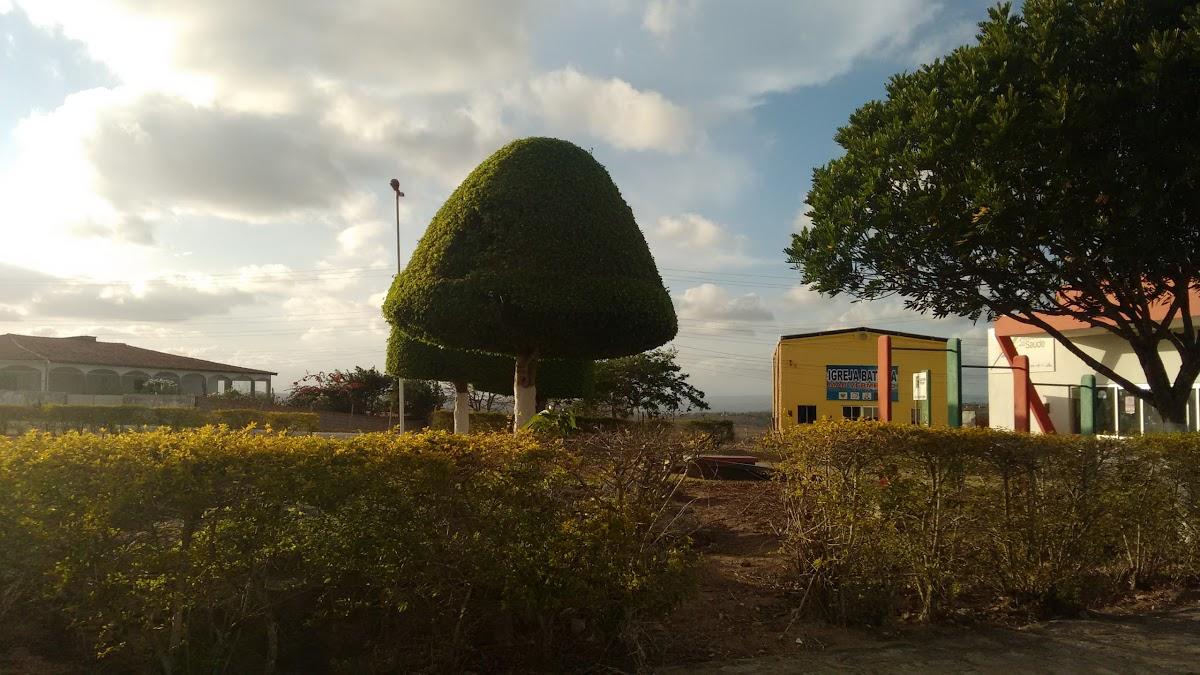 Registro de marca em Mar Vermelho, Alagoas
