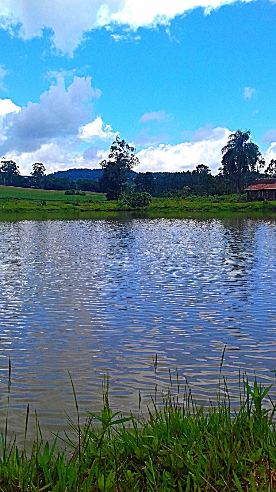 Registro de marca em Marema, Santa Catarina