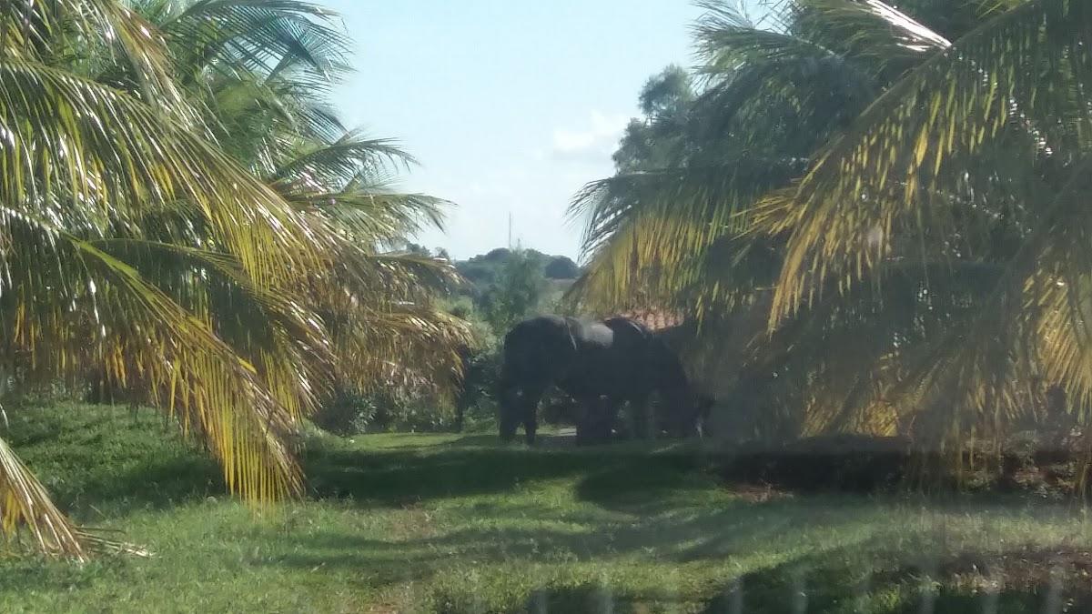Registro de marca em Mariápolis, São Paulo