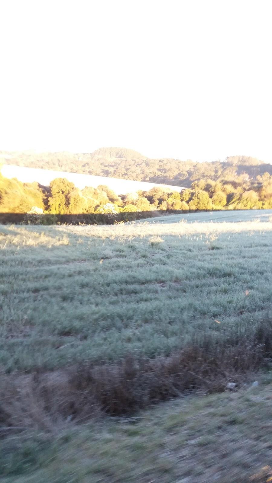 Registro de marca em Mariópolis, Paraná