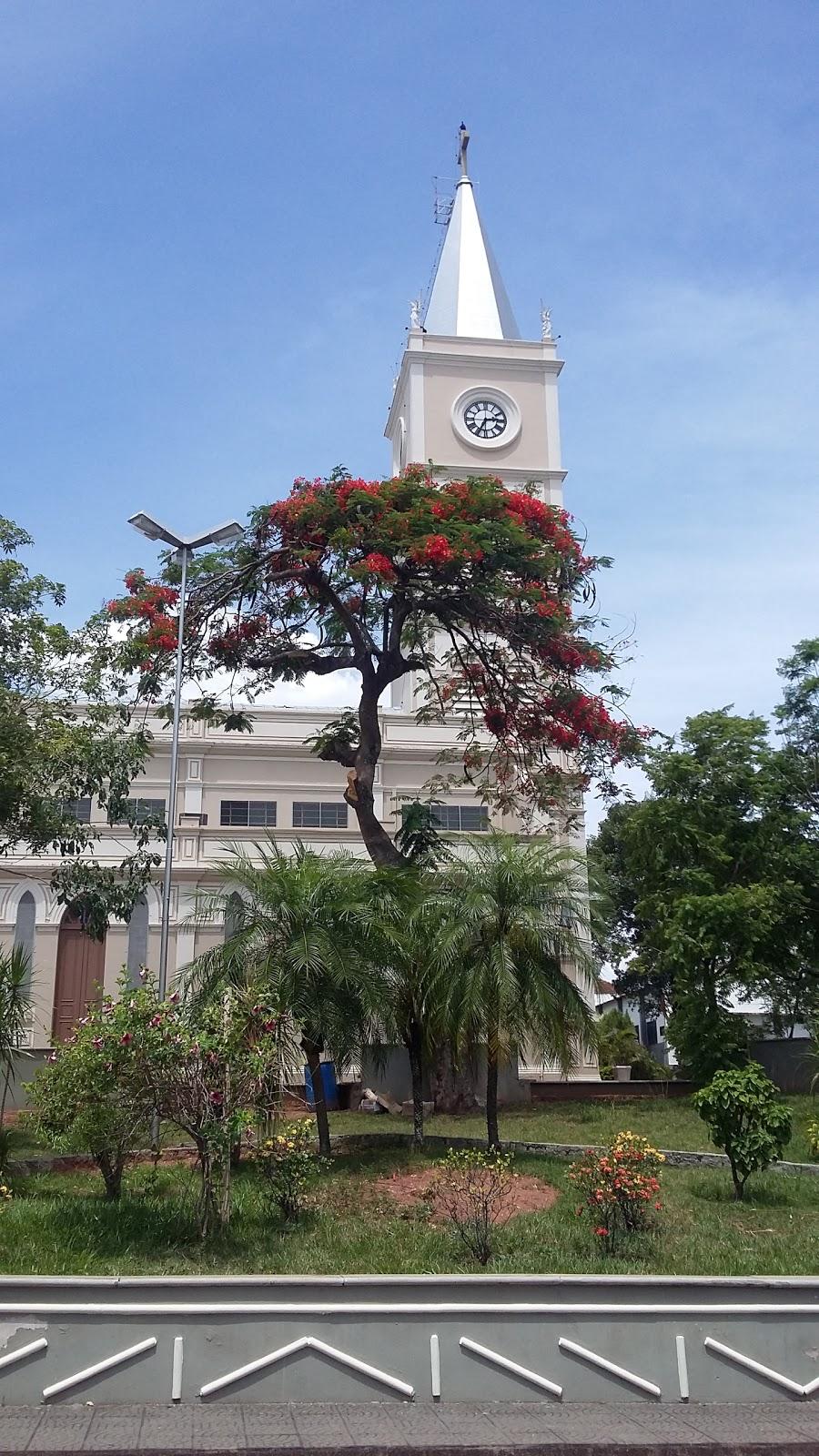 Registro de marca em Martinópolis, São Paulo