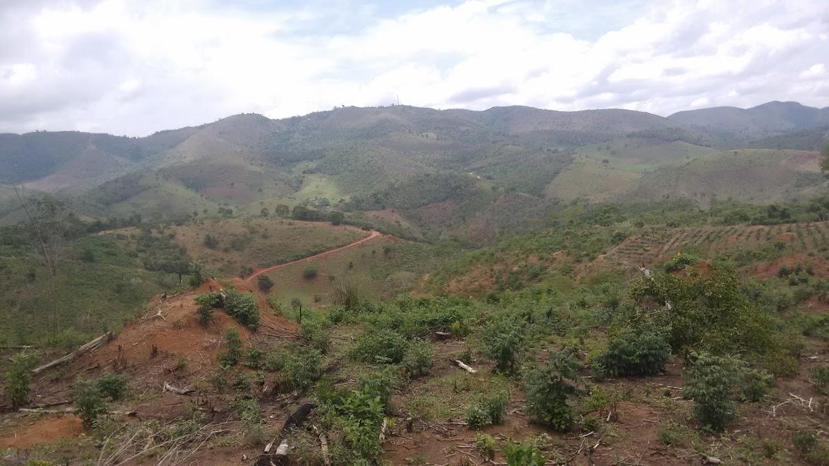 Registro de marca em Mata Verde, Minas Gerais