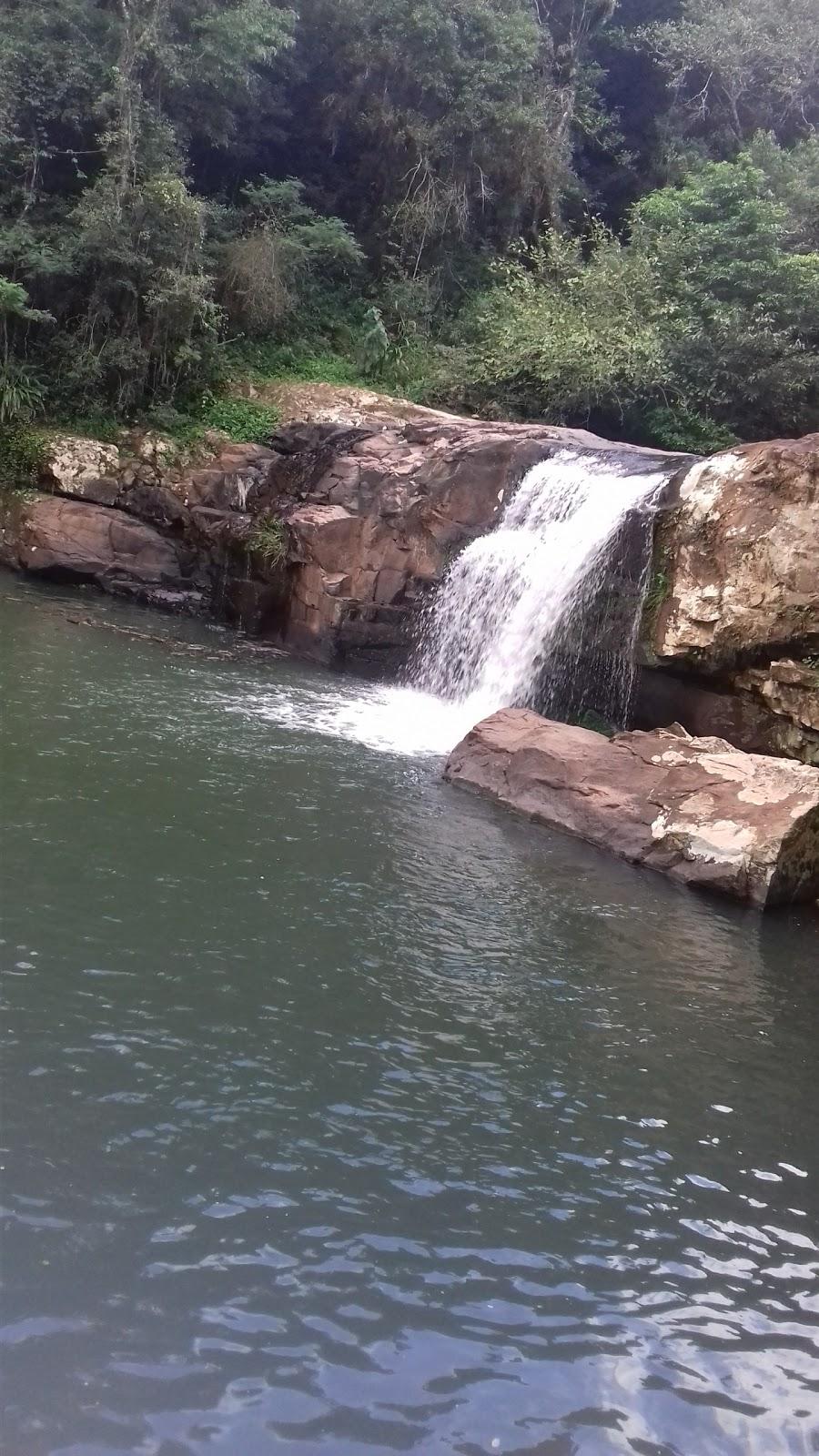 Registro de marca em Mato Leitão, Rio Grande do Sul