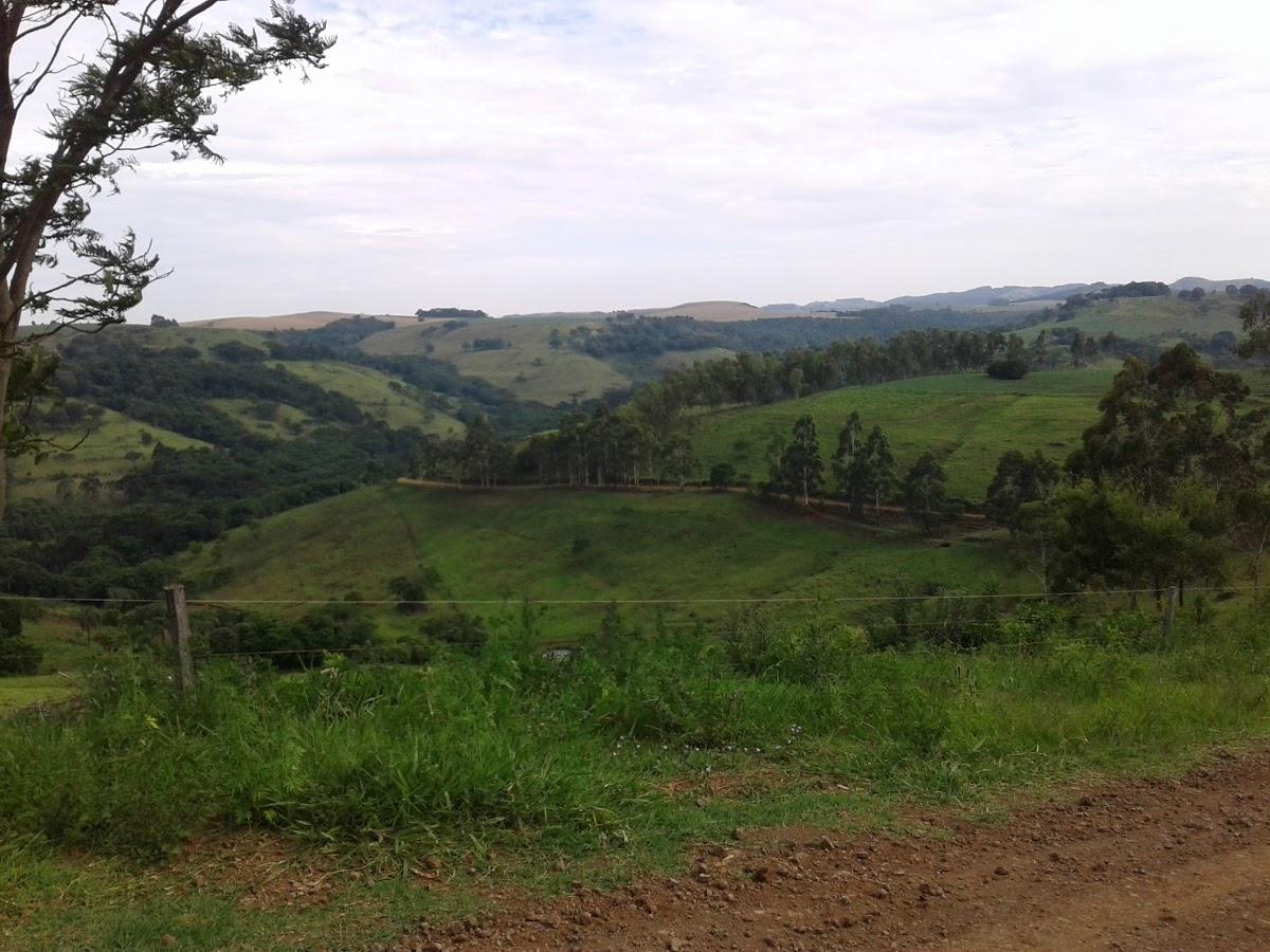 Registro de marca em Mato Rico, Paraná