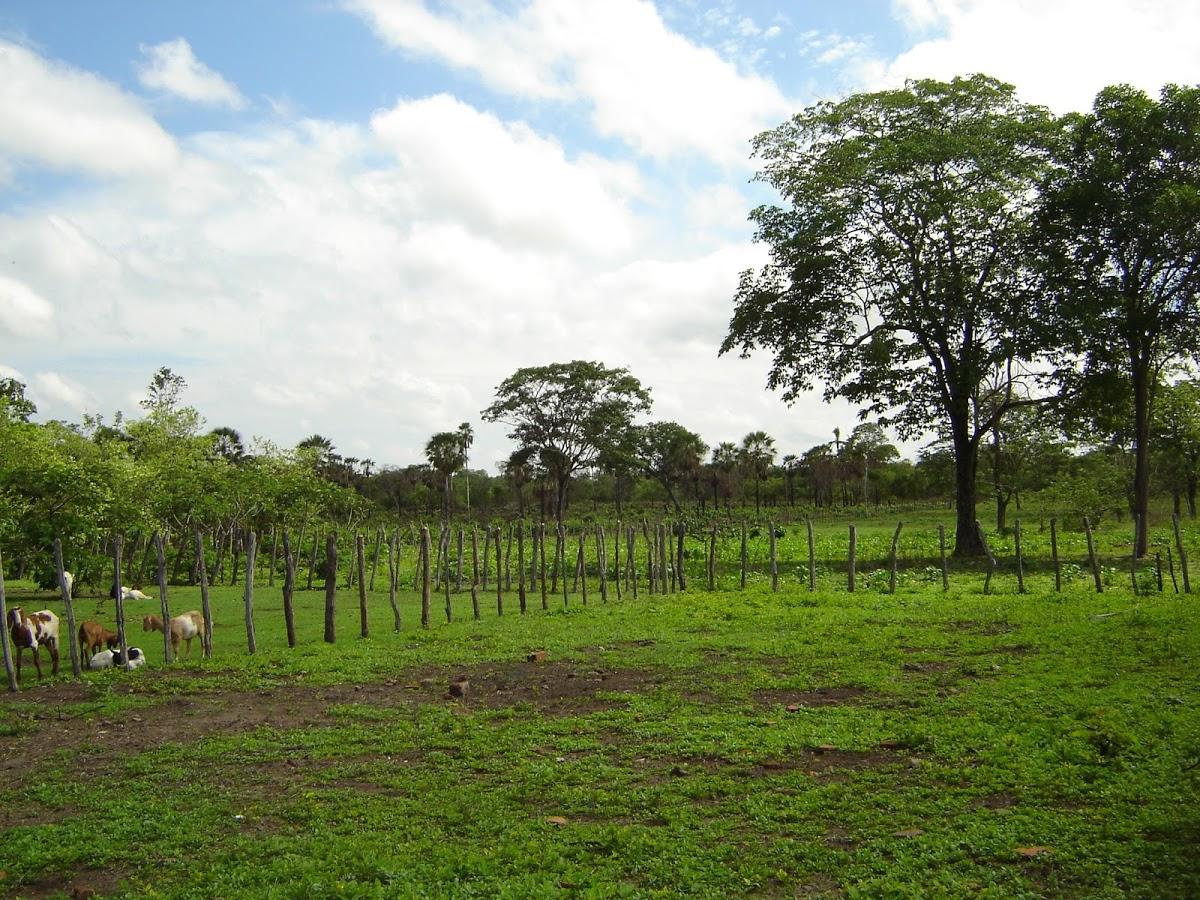 Registro de marca em Matões, Maranhão