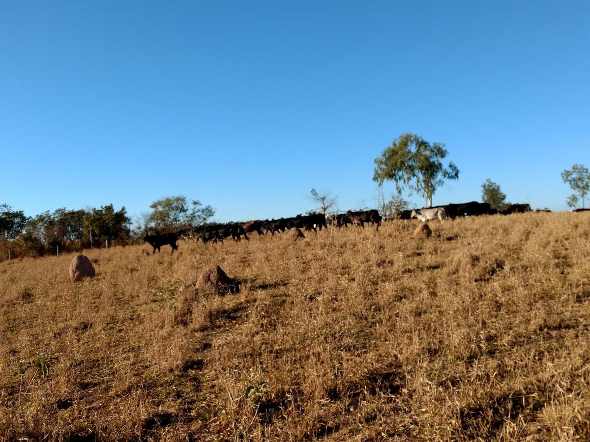Registro de marca em Medeiros, Minas Gerais