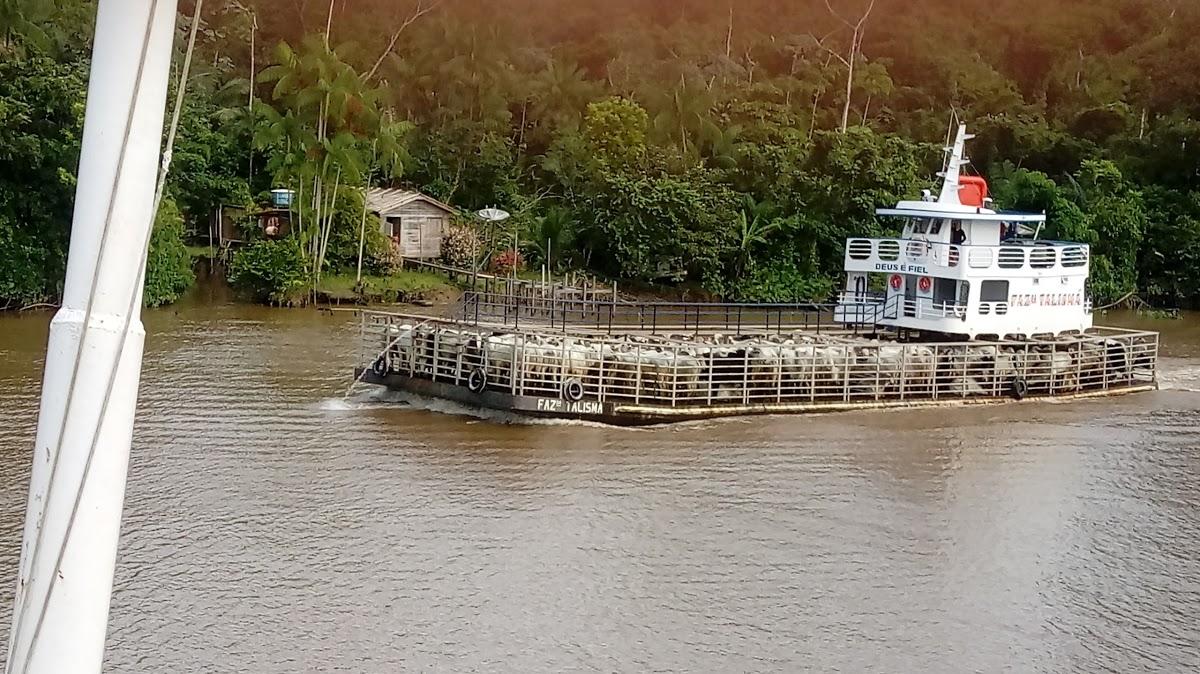 Registro de marca em Melgaço, Pará