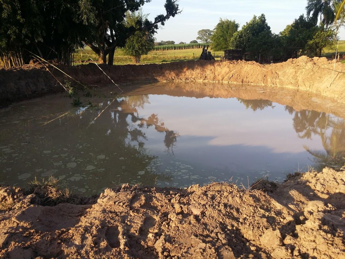 Registro de marca em Mesópolis, São Paulo