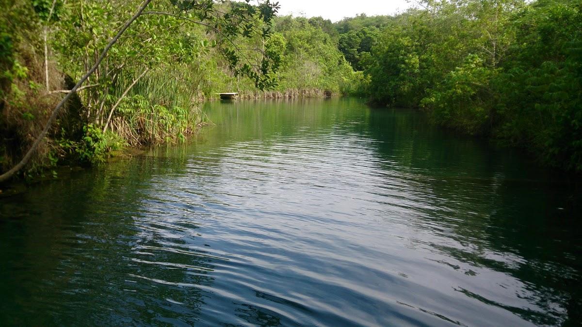 Registro de marca em Mimoso de Goiás, Goiás