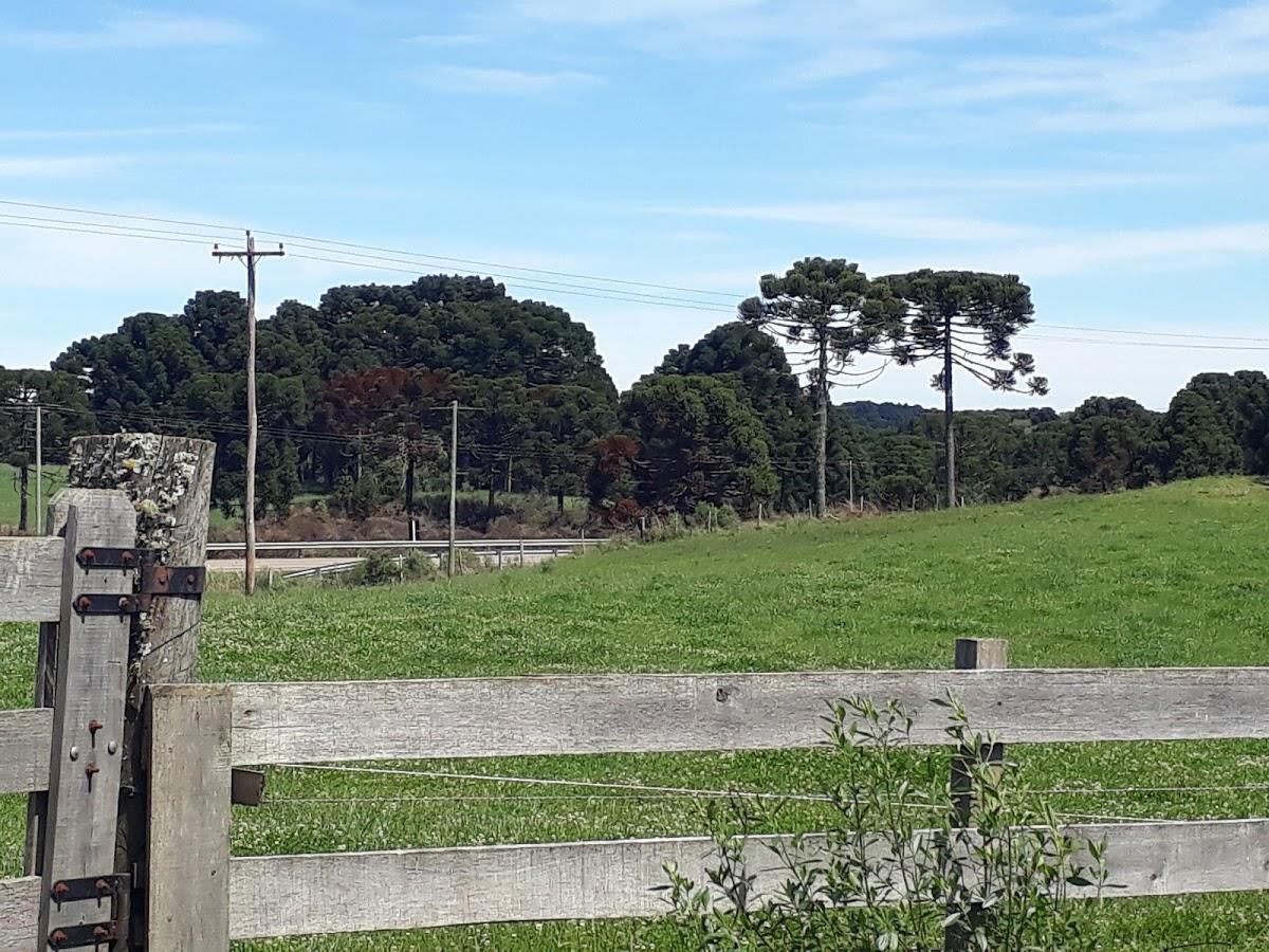 Registro de marca em Monte Alegre dos Campos, Rio Grande do Sul