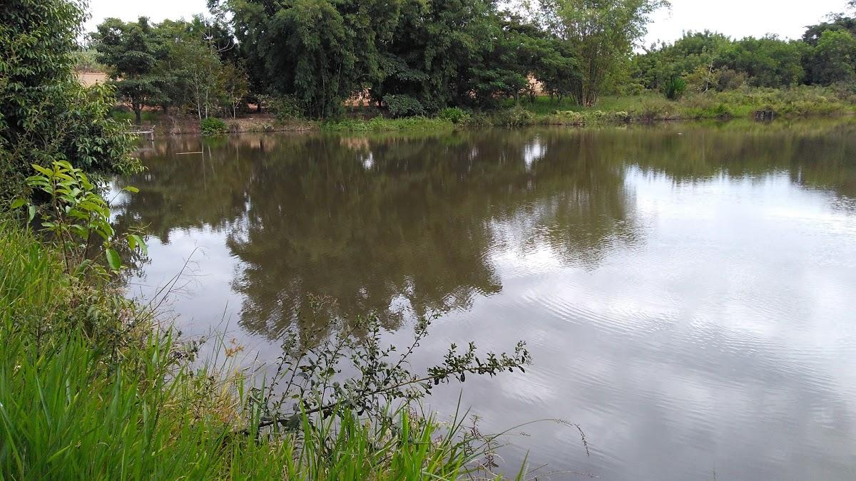 Registro de marca em Monte Azul Paulista, São Paulo