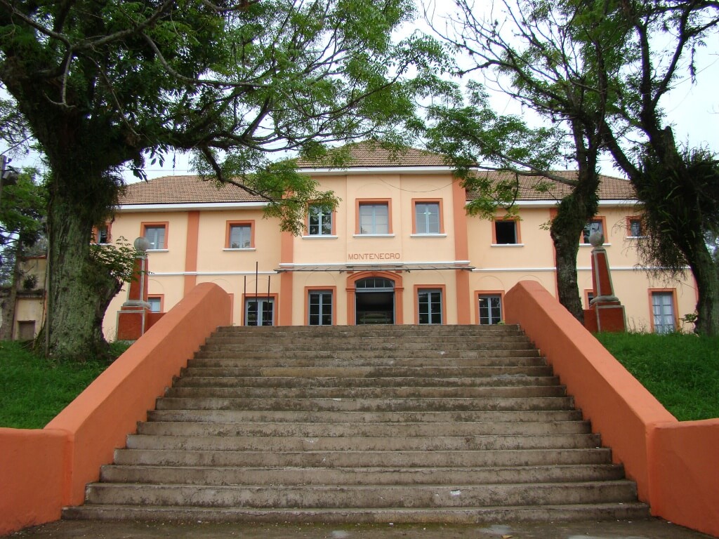 Registro de marca em Monte Negro, Rondônia