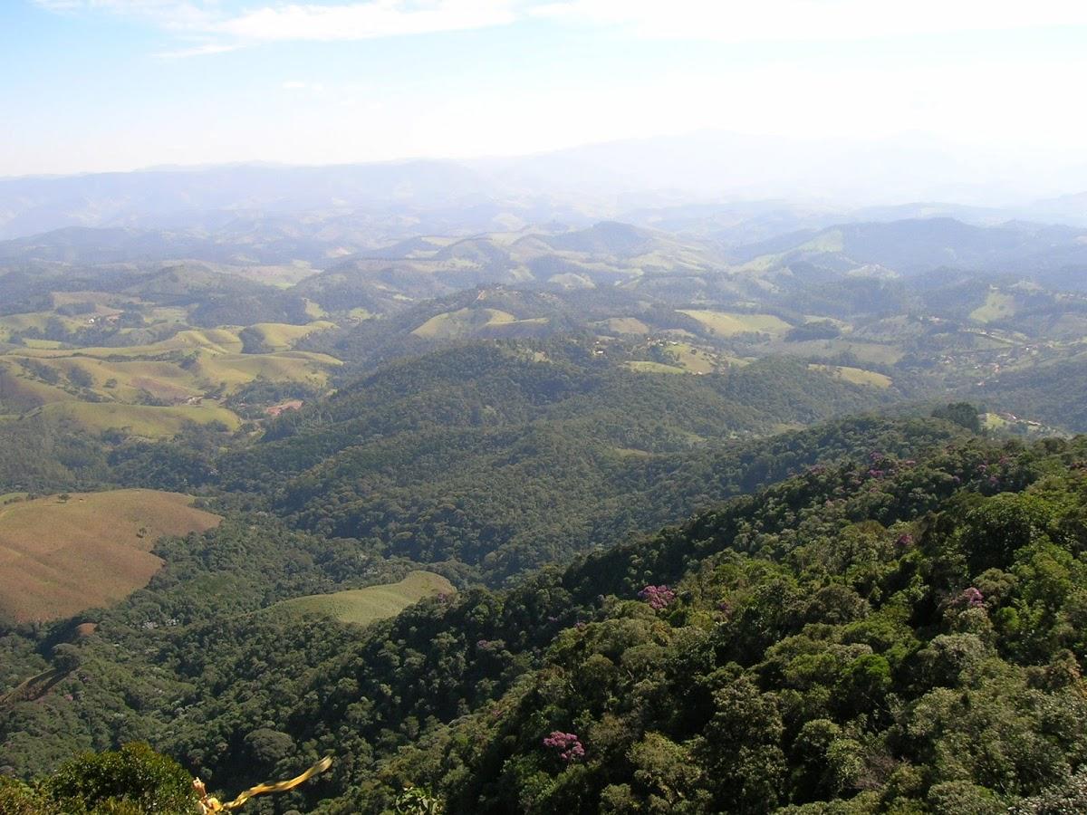 Registro de marca em Morro Agudo, São Paulo