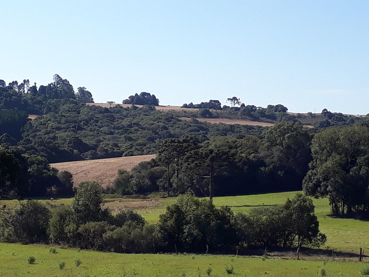 Registro de marca em Muitos Capões, Rio Grande do Sul