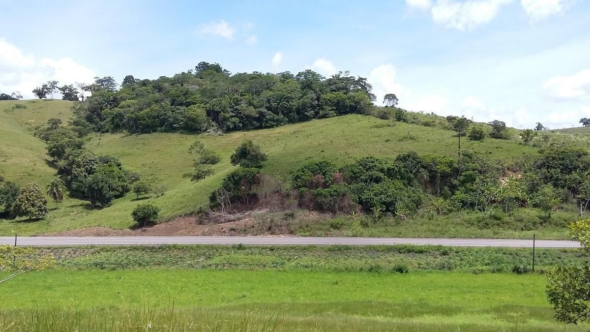 Registro de marca em Muniz Ferreira, Bahia
