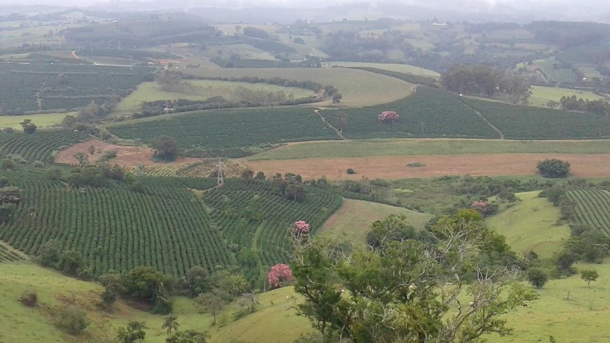 Registro de marca em Muzambinho, Minas Gerais