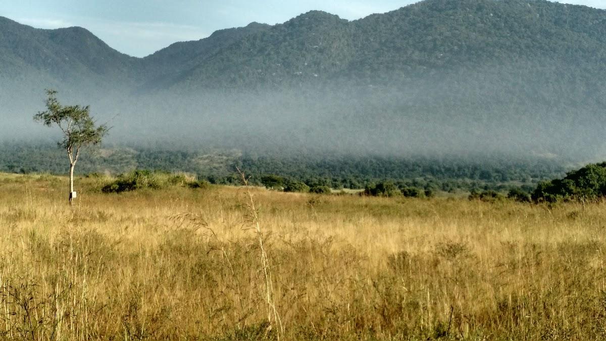 Registro de marca em Nilópolis, Rio de Janeiro