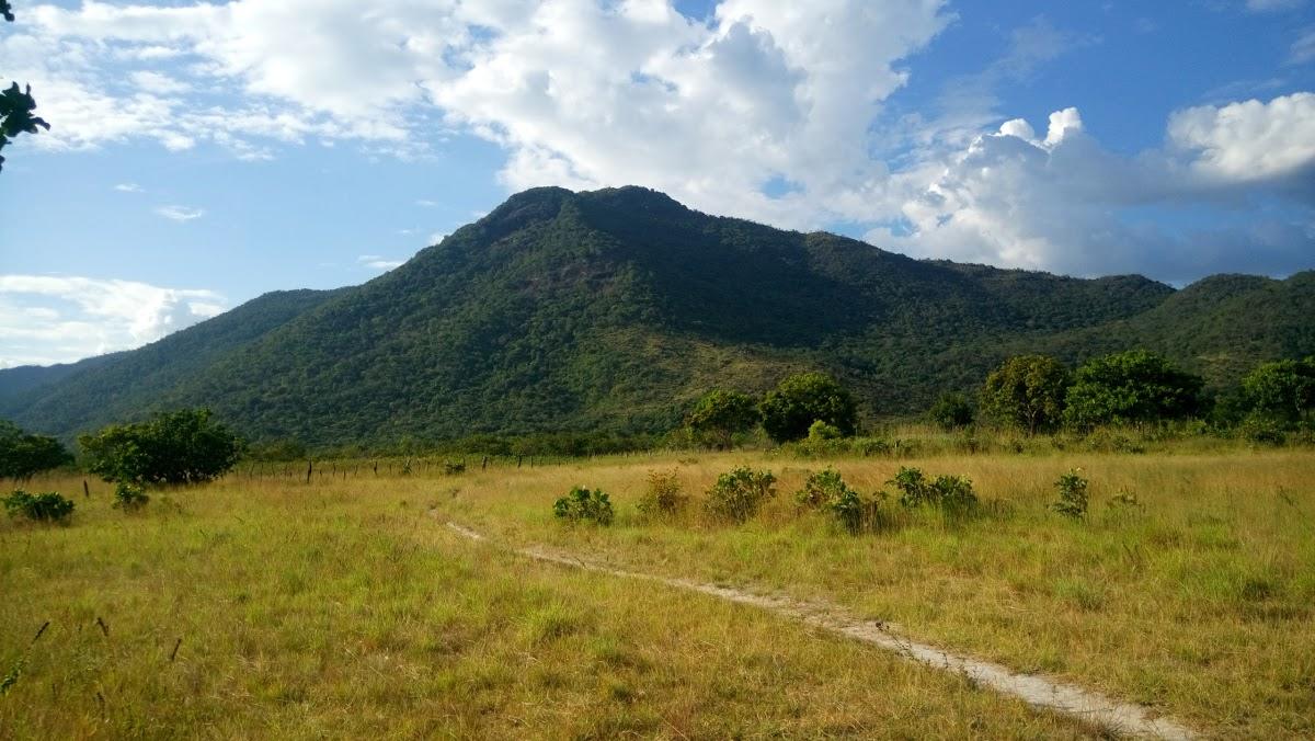 Registro de marca em Normandia, Roraima