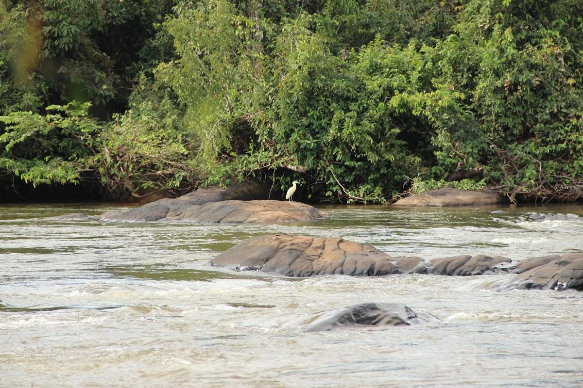 Registro de marca em Nortelândia, Mato Grosso