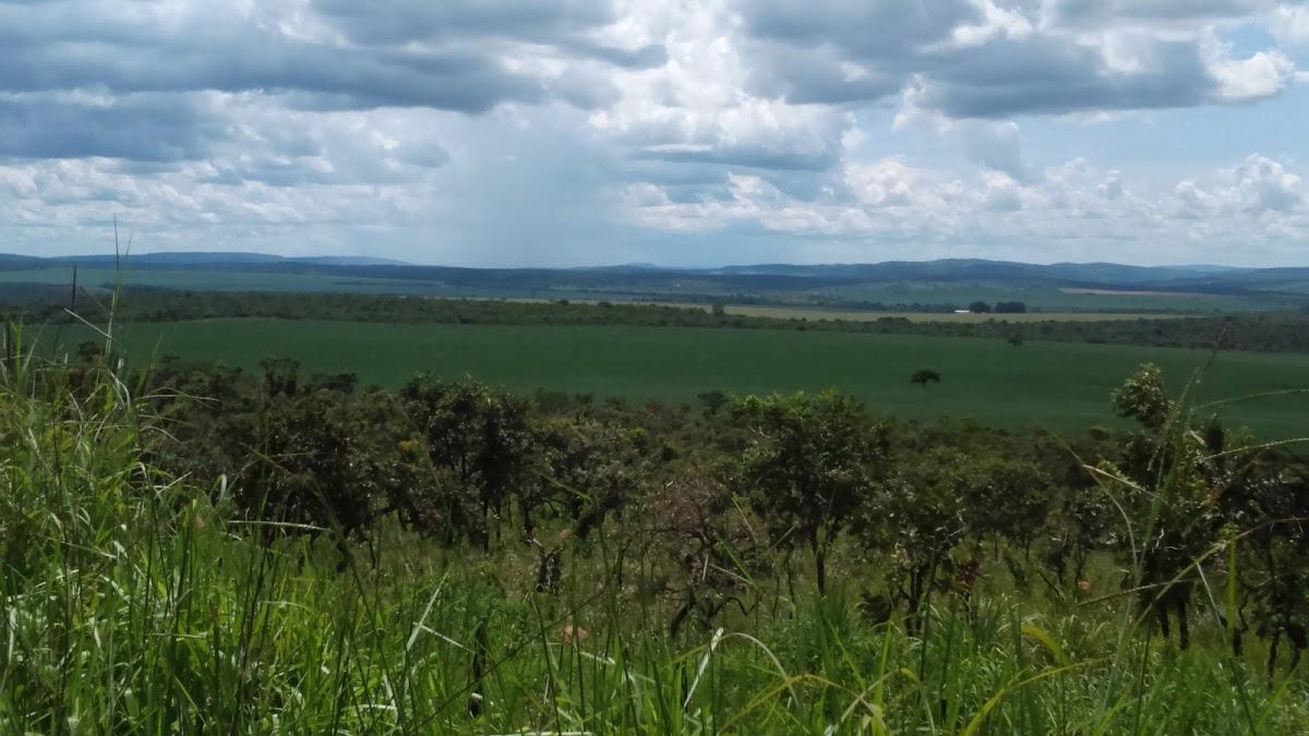 Registro de marca em Nova Aurora, Goiás