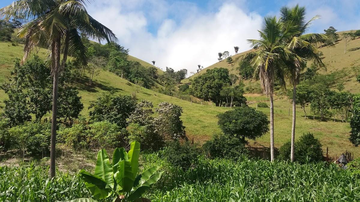 Registro de marca em Nova Canaã, Bahia