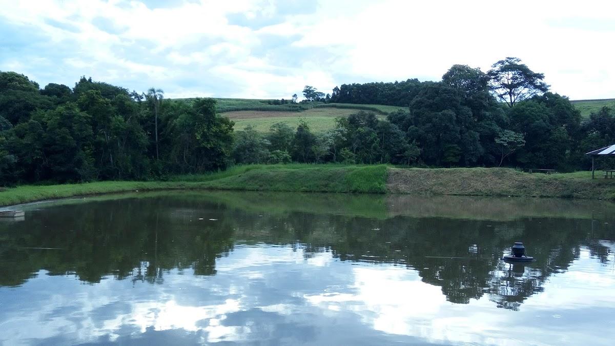 Registro de marca em Nova Erechim, Santa Catarina