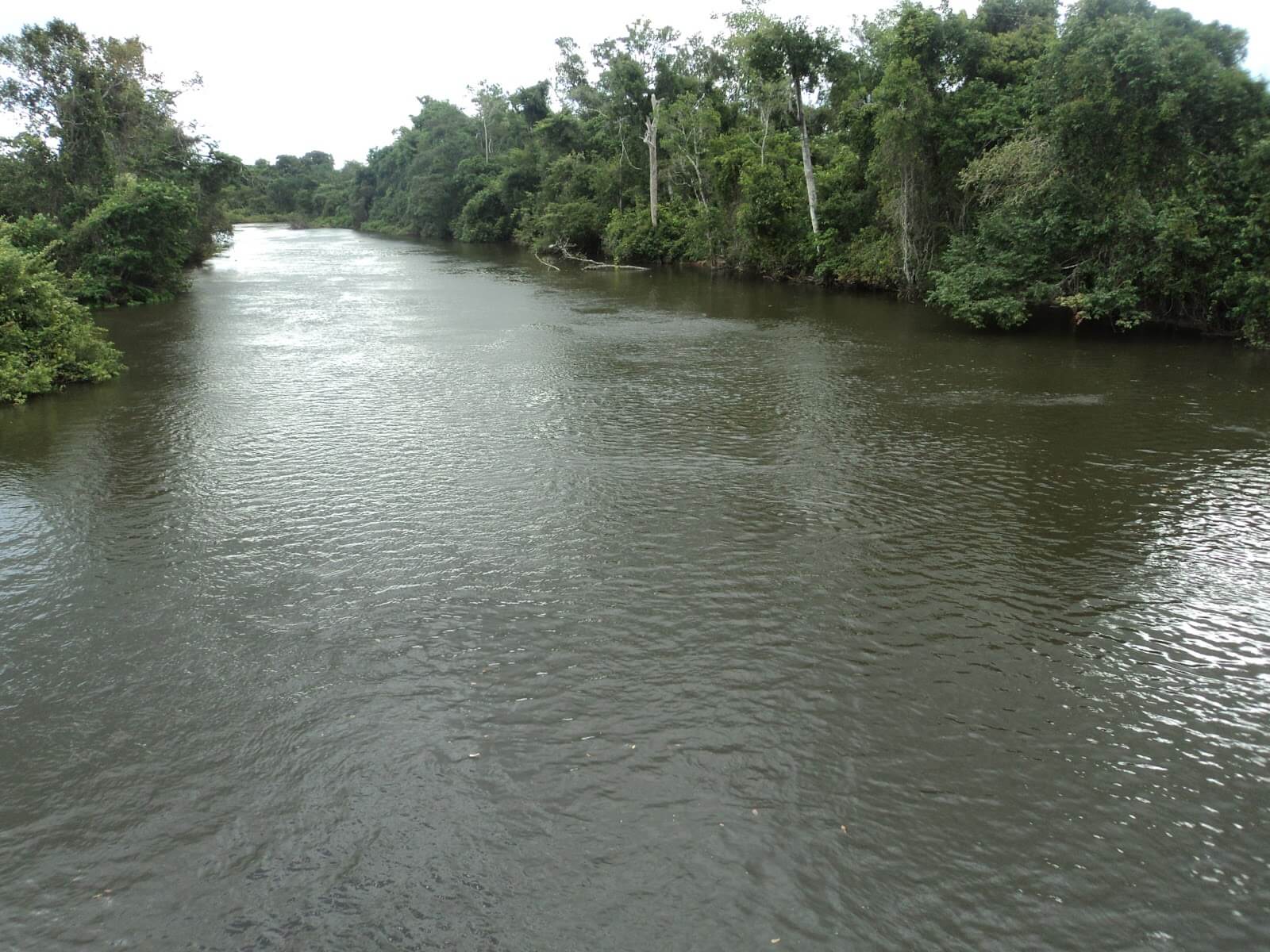 Registro de marca em Nova Guarita, Mato Grosso