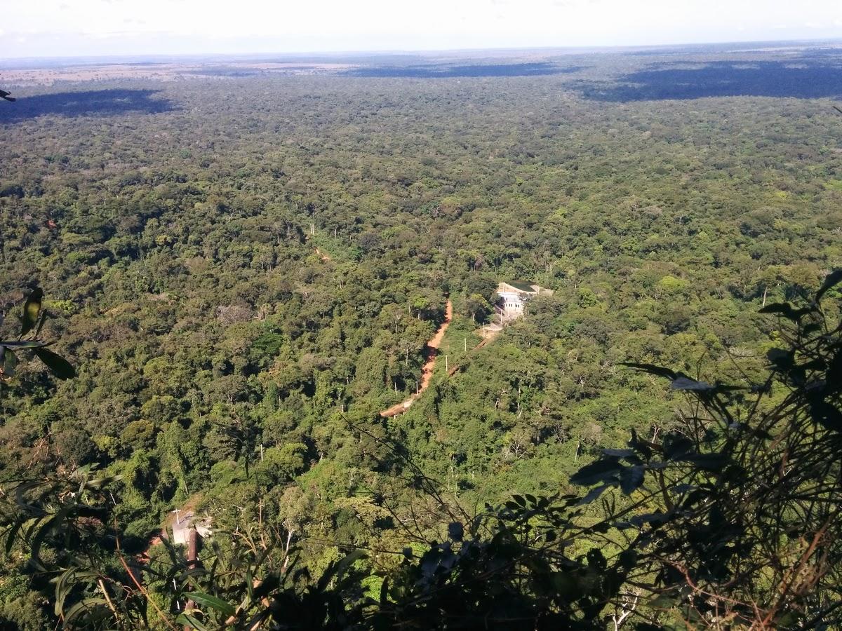 Registro de marca em Nova Marilândia, Mato Grosso