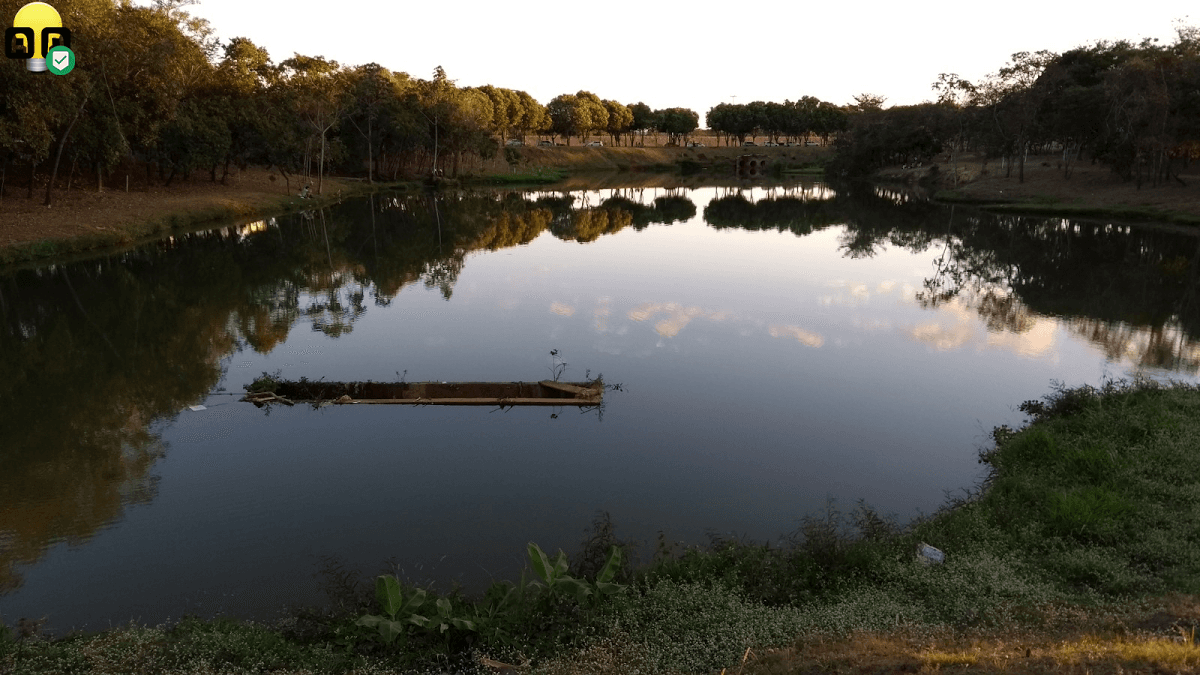 Registro de marca em Nova Mutum, Mato Grosso