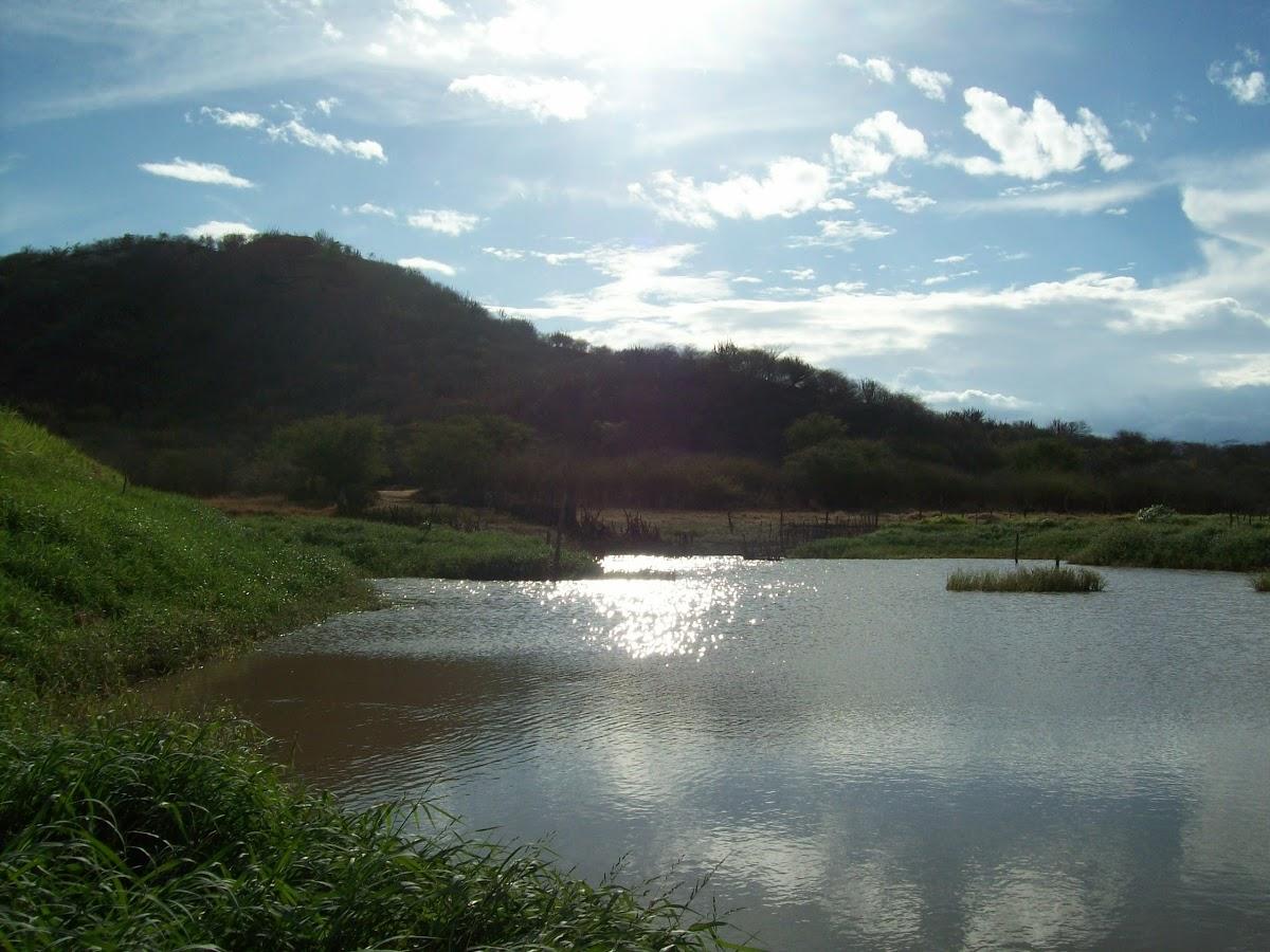 Registro de marca em Nova Palmeira, Paraíba