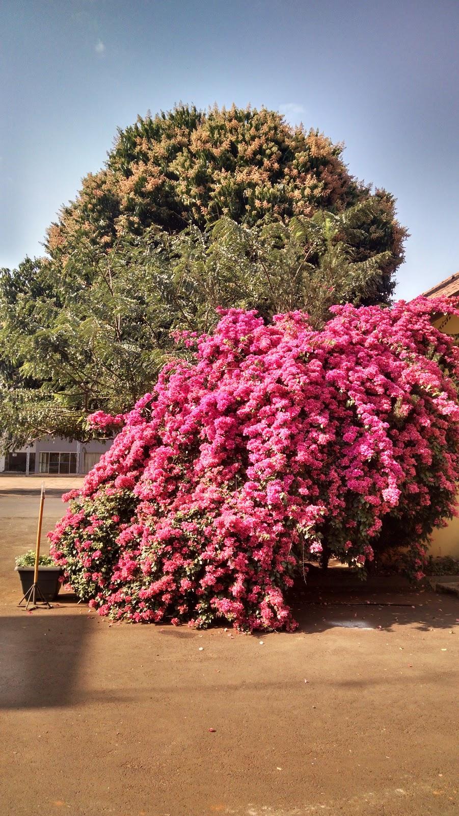 Registro de marca em Nova Santa Rosa, Paraná
