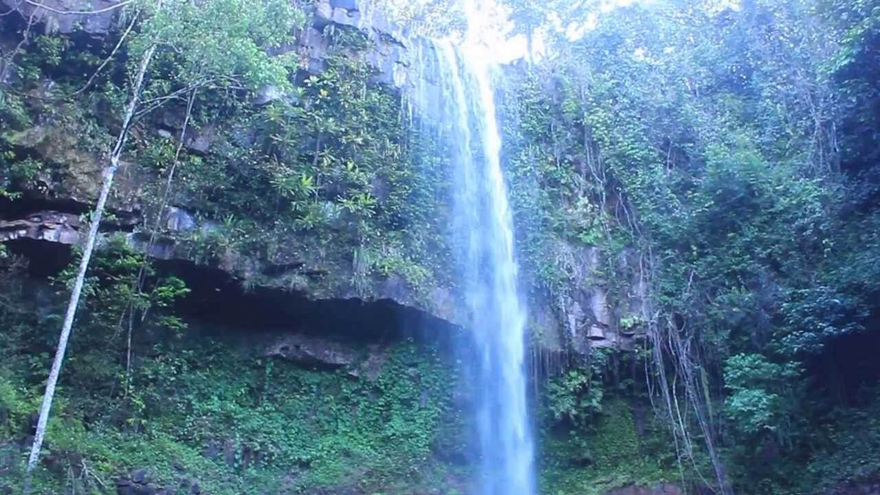 Registro de marca em Nova União, Rondônia