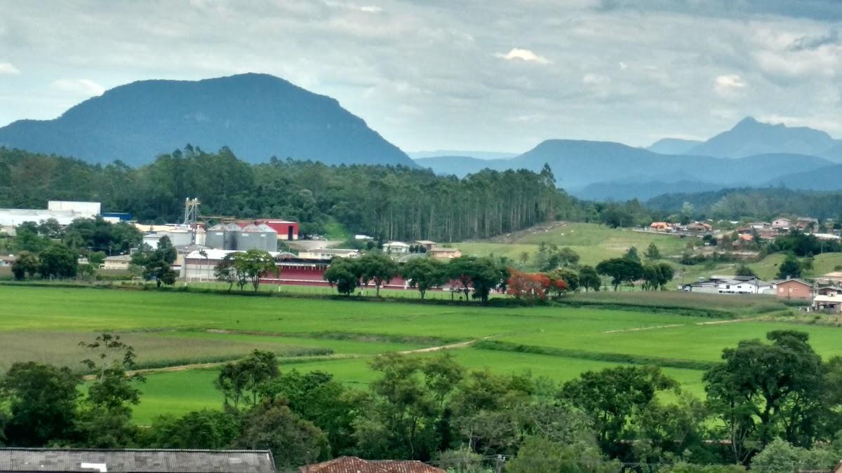 Registro de marca em Nova Veneza, Santa Catarina