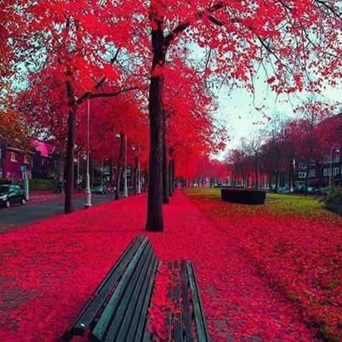 Registro de marca em Novo Horizonte do Sul, Mato Grosso do Sul