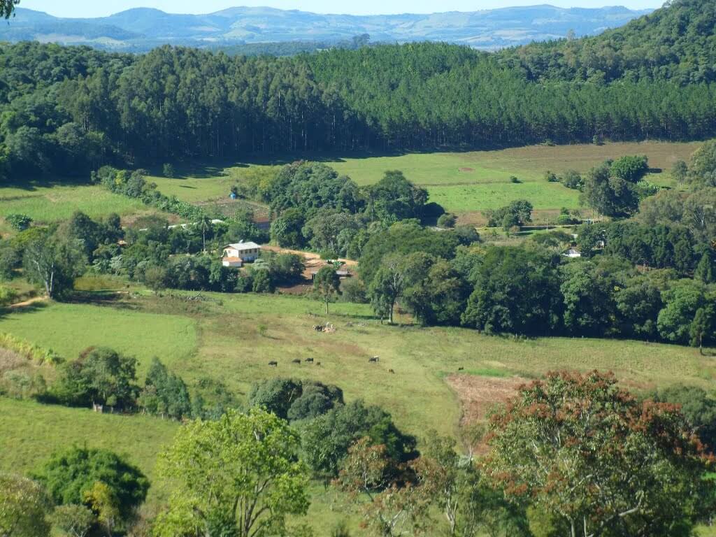 Registro de marca em Novo Horizonte, Santa Catarina