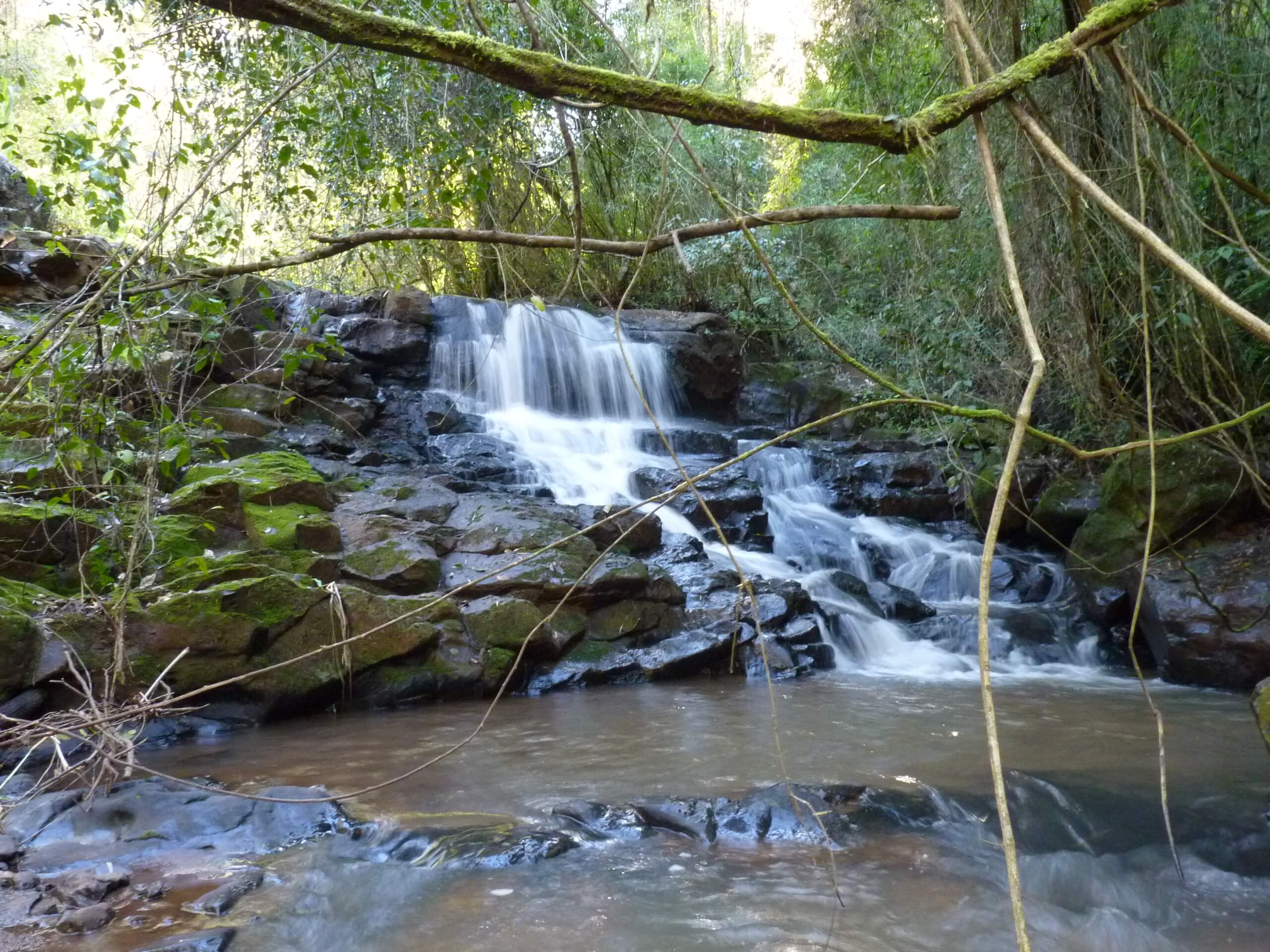 Registro de marca em Novo Itacolomi, Paraná
