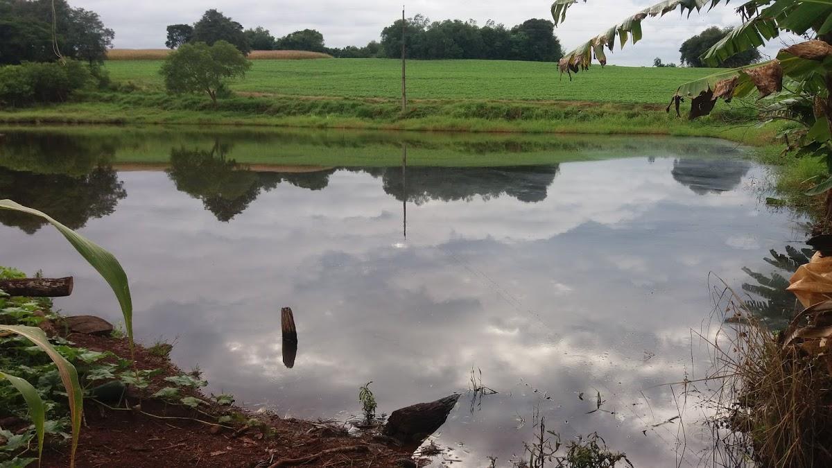 Registro de marca em Novo Machado, Rio Grande do Sul