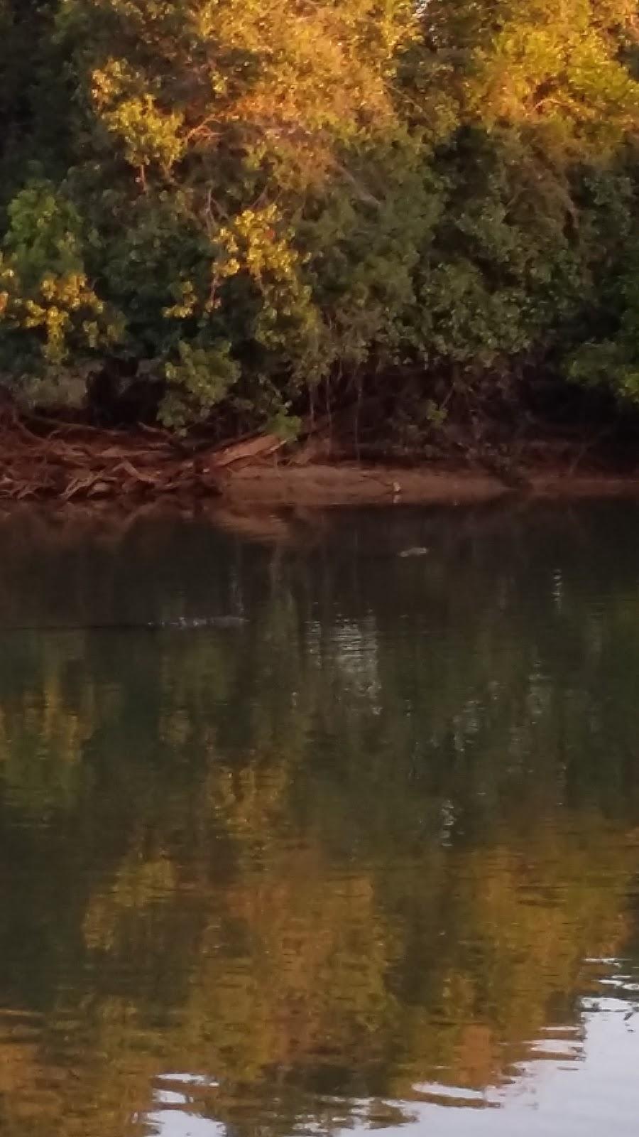 Registro de marca em Novo Santo Antônio, Mato Grosso