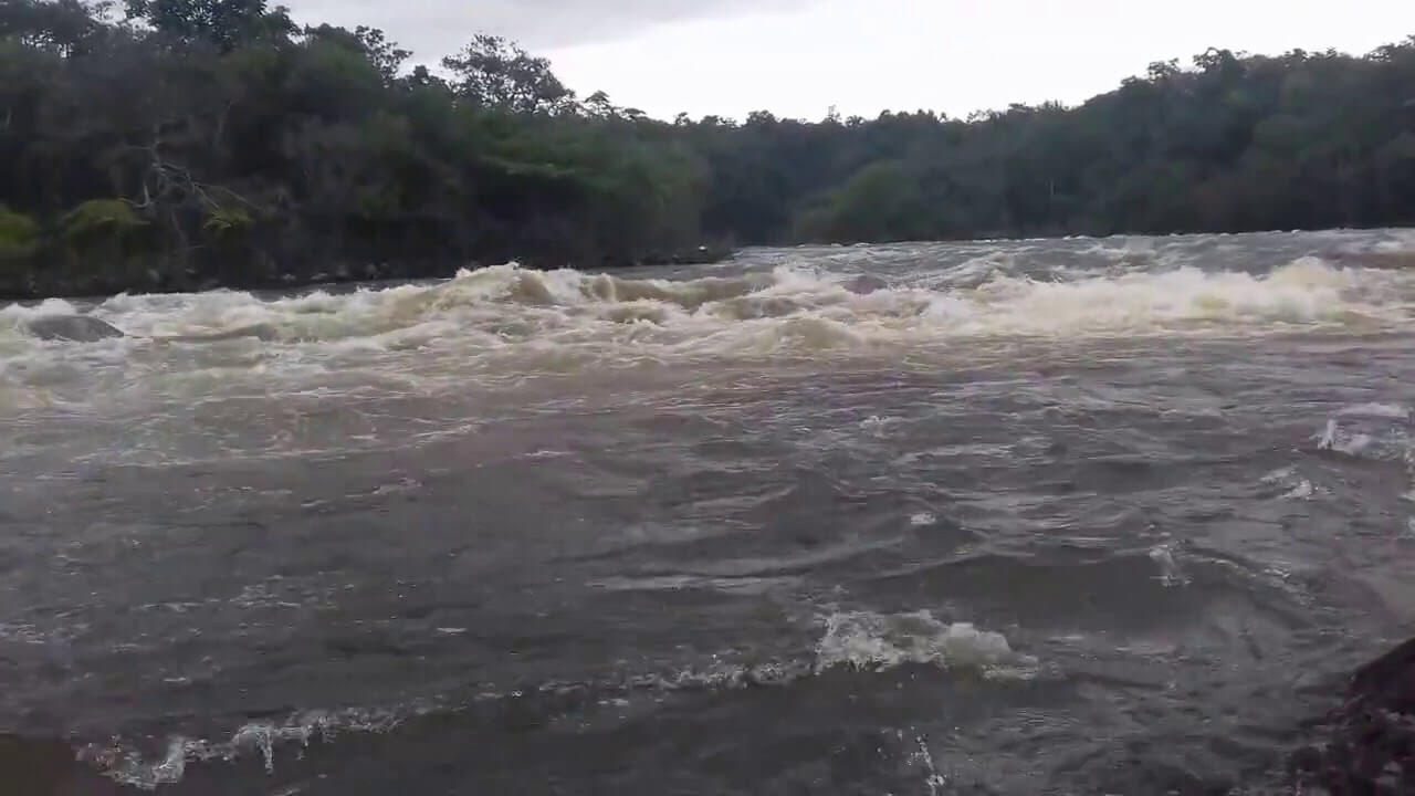 Registro de marca em Novo São Joaquim, Mato Grosso