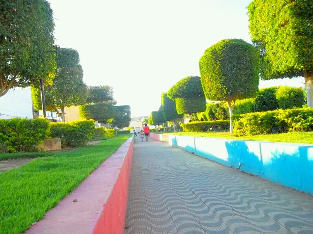 Registro de marca em Novo Triunfo, Bahia