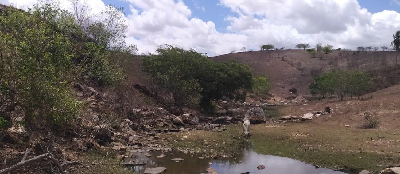 Registro de marca em Olho d'Água Grande, Alagoas
