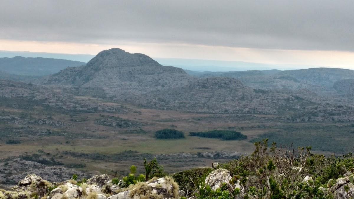 Registro de marca em Olhos-d'Água, Minas Gerais