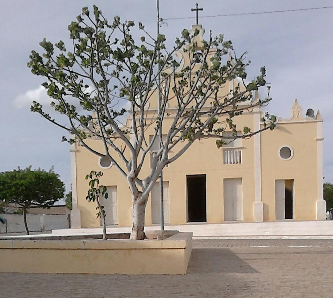 Registro de marca em Olivedos, Paraíba