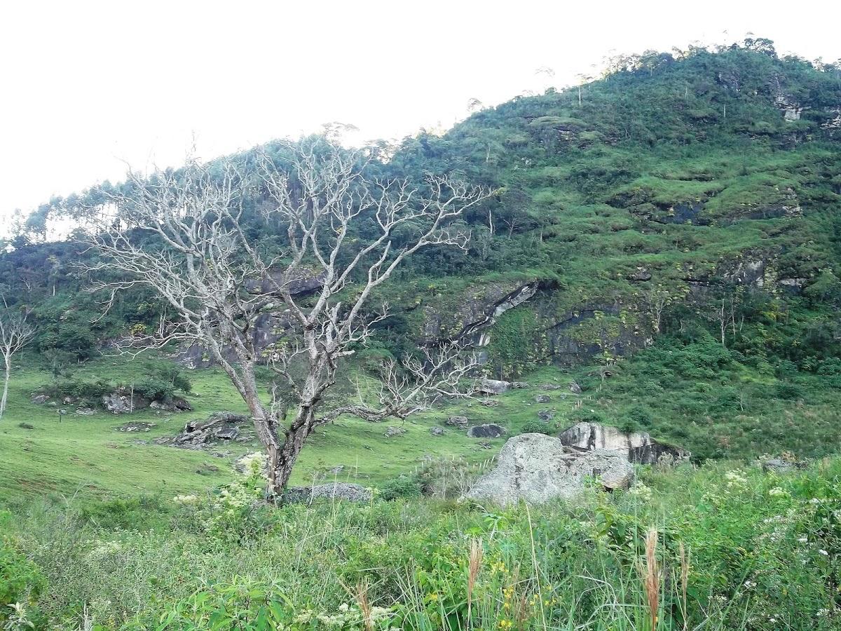Registro de marca em Oliveira Fortes, Minas Gerais