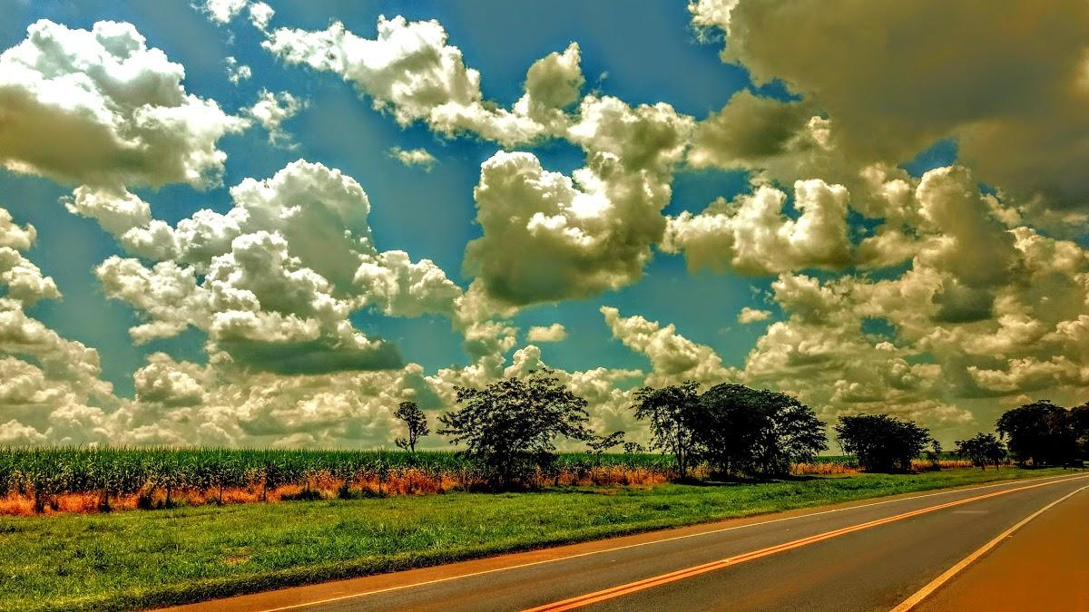 Registro de marca em Onda Verde, São Paulo