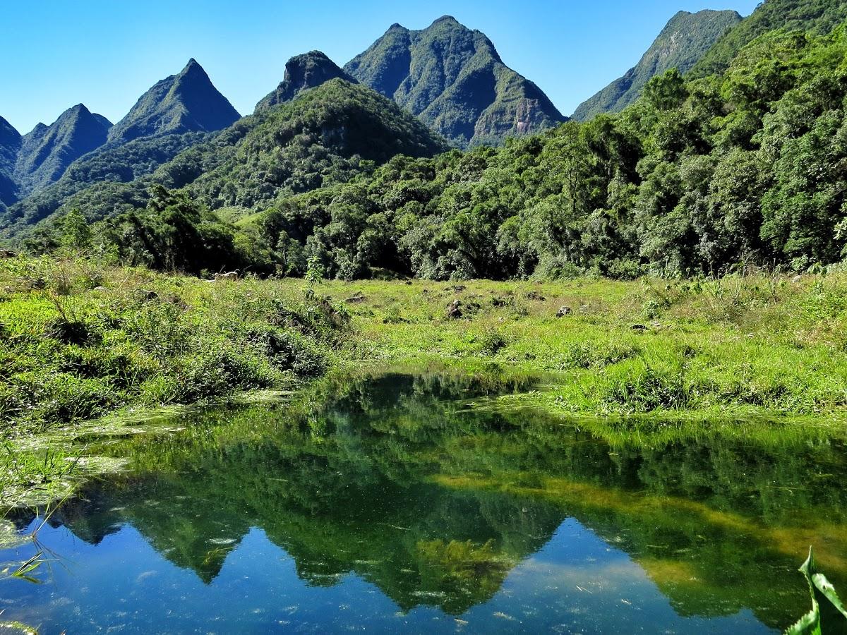 Registro de marca em Orleans, Santa Catarina